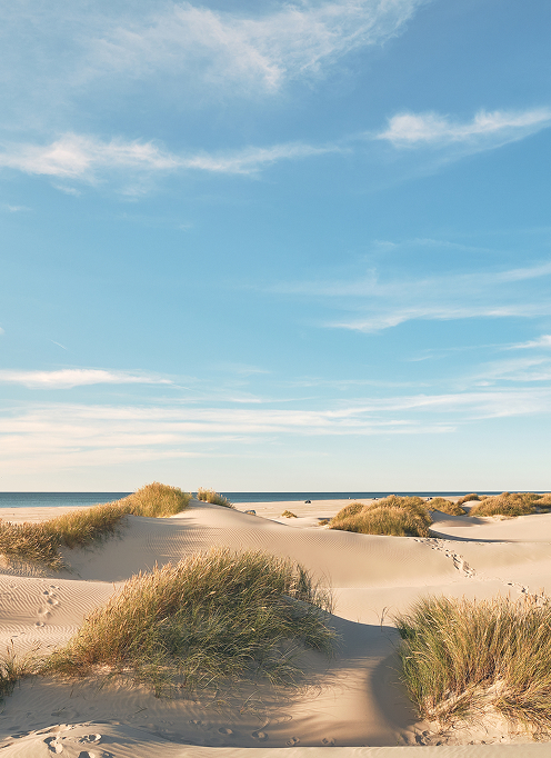 Imagine a quiet beach at sunset, warm sand glowing under the soft light of late afternoon.